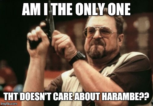 Am I The Only One Around Here | AM I THE ONLY ONE; THT DOESN'T CARE ABOUT HARAMBE?? | image tagged in memes,am i the only one around here | made w/ Imgflip meme maker