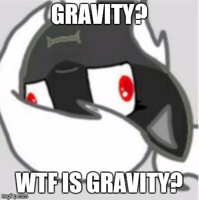 GRAVITY? WTF IS GRAVITY? | image tagged in gravity,memes | made w/ Imgflip meme maker