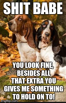 I have said this before with mixed results! | SHIT BABE; YOU LOOK FINE, BESIDES ALL THAT EXTRA YOU GIVES ME SOMETHING TO HOLD ON TO! | image tagged in funny animal,funny dogs,girlfriend,shit you say,relationships,funny animals | made w/ Imgflip meme maker