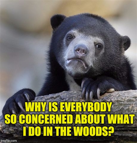 If I do it in the forest and there's nobody there to hear it,  does it make a sound?  | WHY IS EVERYBODY SO CONCERNED ABOUT WHAT I DO IN THE WOODS? | image tagged in memes,confession bear | made w/ Imgflip meme maker