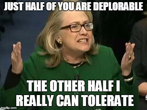 hillary what difference does it make | JUST HALF OF YOU ARE DEPLORABLE; THE OTHER HALF I REALLY CAN TOLERATE | image tagged in hillary what difference does it make | made w/ Imgflip meme maker