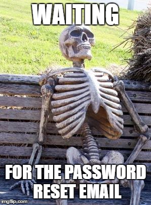 Waiting Skeleton | WAITING; FOR THE PASSWORD RESET EMAIL | image tagged in memes,waiting skeleton | made w/ Imgflip meme maker