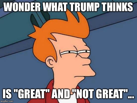 Futurama Fry Meme | WONDER WHAT TRUMP THINKS IS "GREAT" AND "NOT GREAT"... | image tagged in memes,futurama fry | made w/ Imgflip meme maker