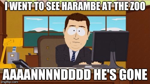 Aaaaand Its Gone | I WENT TO SEE HARAMBE AT THE ZOO; AAAANNNNDDDD HE'S GONE | image tagged in memes,aaaaand its gone | made w/ Imgflip meme maker