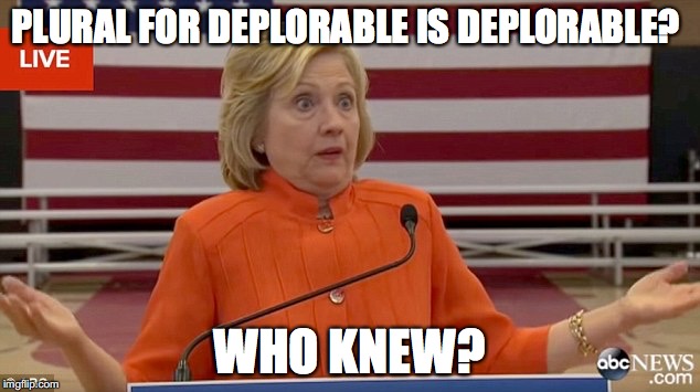 Deplorable(s)? | PLURAL FOR DEPLORABLE IS DEPLORABLE? WHO KNEW? | image tagged in hillary clinton fail,deplorable,vote trump,proud deplorable | made w/ Imgflip meme maker