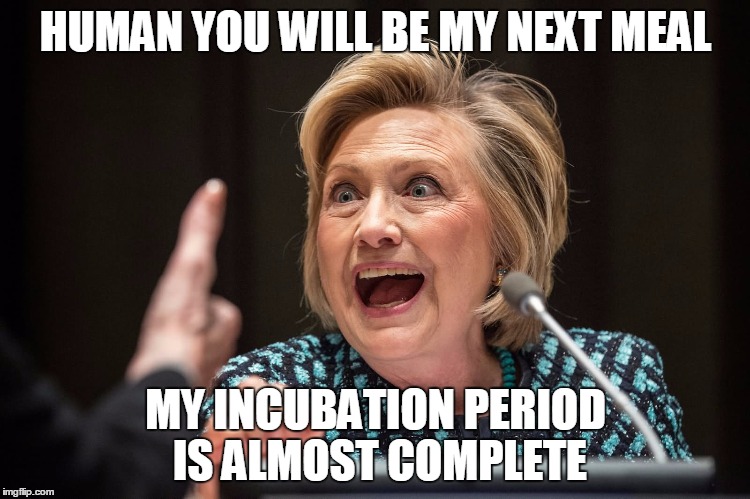 Hillary Crazy | HUMAN YOU WILL BE MY NEXT MEAL; MY INCUBATION PERIOD IS ALMOST COMPLETE | image tagged in hillary crazy | made w/ Imgflip meme maker