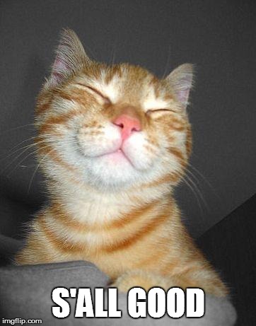 Smug Cat | S'ALL GOOD | image tagged in smug cat | made w/ Imgflip meme maker