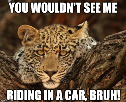 YOU WOULDN'T SEE ME RIDING IN A CAR, BRUH! | made w/ Imgflip meme maker