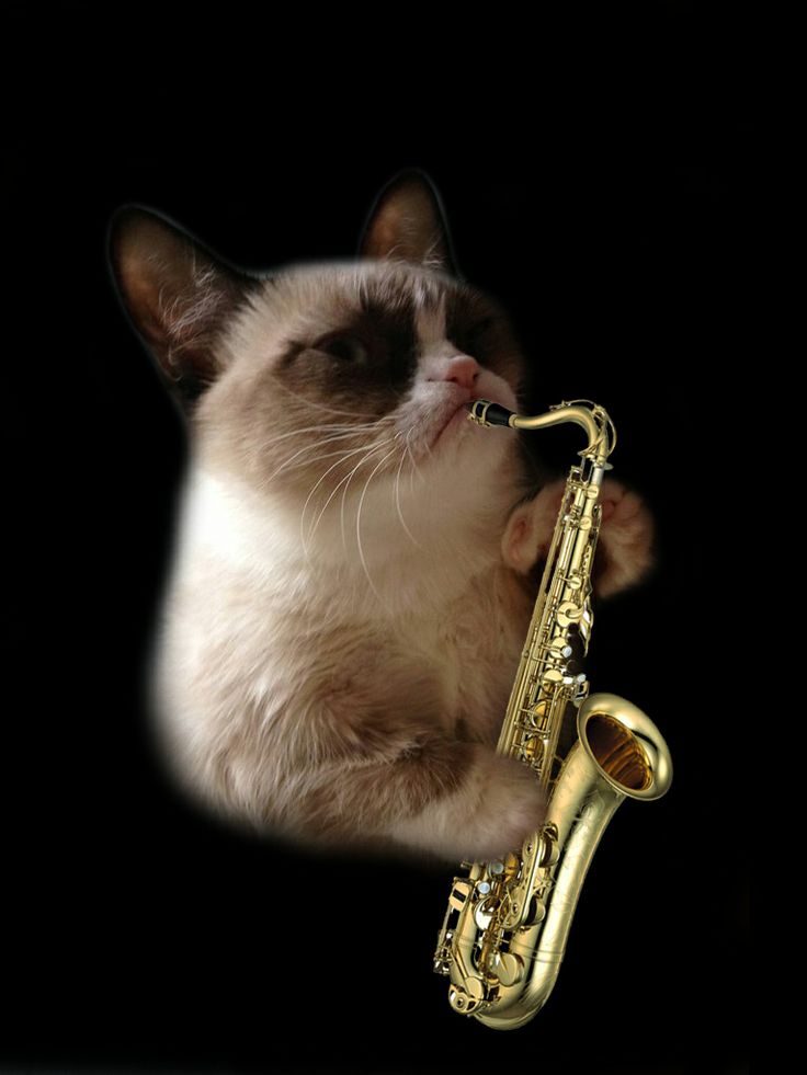 Jazz Cat Blank Meme Template