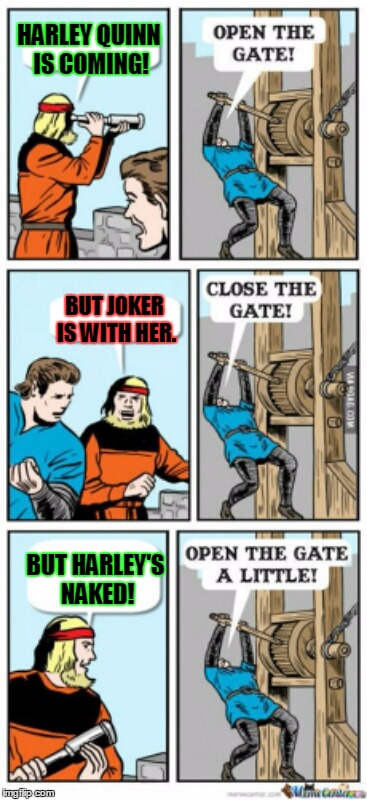 Open the gate a little | HARLEY QUINN IS COMING! BUT JOKER IS WITH HER. BUT HARLEY'S NAKED! | image tagged in open the gate a little | made w/ Imgflip meme maker