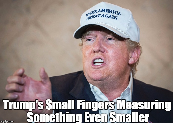 Trump's Small Fingers Measuring Something Even Smaller | made w/ Imgflip meme maker