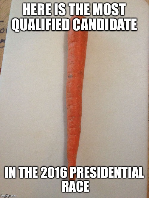 HERE IS THE MOST QUALIFIED CANDIDATE; IN THE 2016 PRESIDENTIAL RACE | image tagged in presidential candidate | made w/ Imgflip meme maker