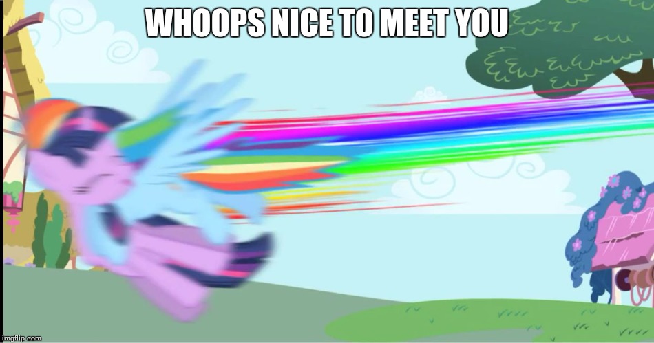 dashie meets twi | WHOOPS NICE TO MEET YOU | image tagged in dashie meets twi | made w/ Imgflip meme maker