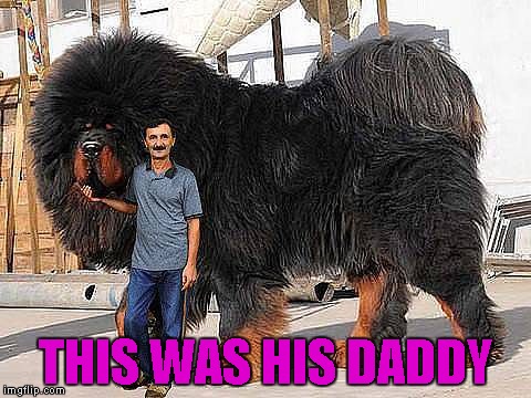 THIS WAS HIS DADDY | made w/ Imgflip meme maker