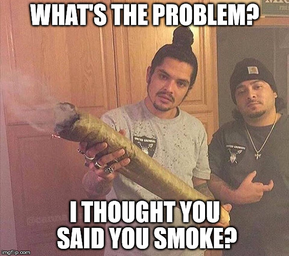 WHAT'S THE PROBLEM? I THOUGHT YOU SAID YOU SMOKE? | image tagged in weed,420,fat blunt | made w/ Imgflip meme maker