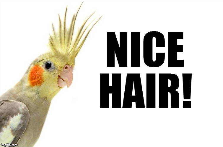 NICE HAIR! | made w/ Imgflip meme maker