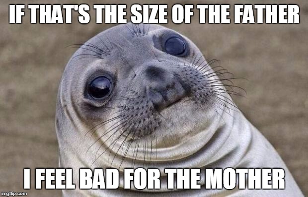 Awkward Moment Sealion Meme | IF THAT'S THE SIZE OF THE FATHER I FEEL BAD FOR THE MOTHER | image tagged in memes,awkward moment sealion | made w/ Imgflip meme maker