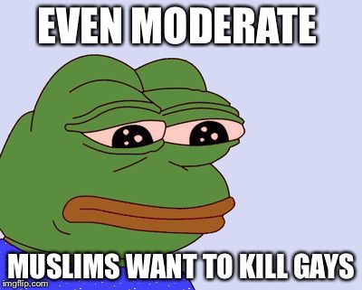 Pepe the Frog | EVEN MODERATE; MUSLIMS WANT TO KILL GAYS | image tagged in pepe the frog | made w/ Imgflip meme maker