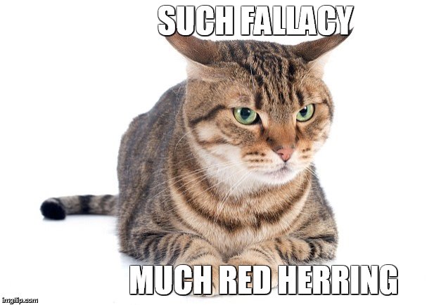 red herring fallacy meme