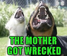THE MOTHER GOT WRECKED | made w/ Imgflip meme maker