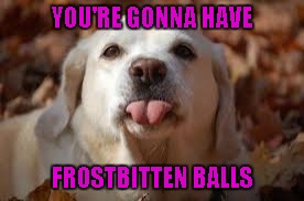 YOU'RE GONNA HAVE FROSTBITTEN BALLS | made w/ Imgflip meme maker