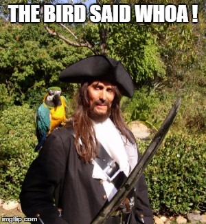 THE BIRD SAID WHOA ! | made w/ Imgflip meme maker