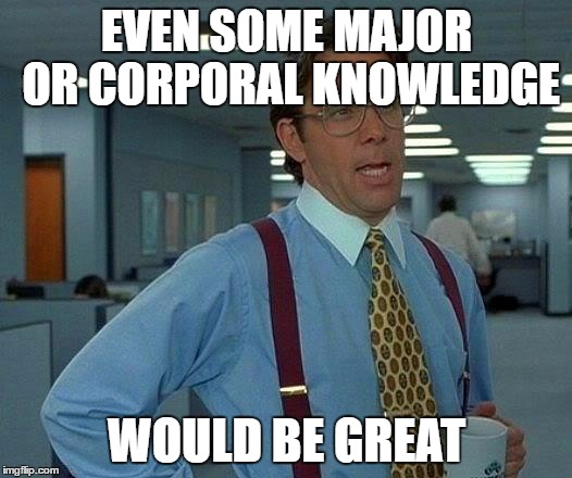That Would Be Great Meme | EVEN SOME MAJOR OR CORPORAL KNOWLEDGE WOULD BE GREAT | image tagged in memes,that would be great | made w/ Imgflip meme maker