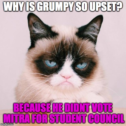 grumpy cat again | WHY IS GRUMPY SO UPSET? BECAUSE HE DIDNT VOTE MITRA FOR STUDENT COUNCIL | image tagged in grumpy cat again | made w/ Imgflip meme maker