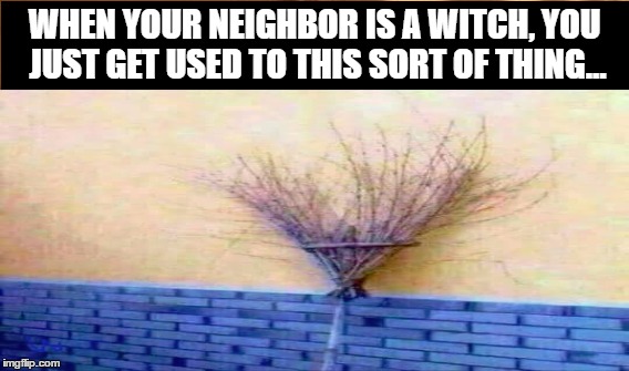 WHEN YOUR NEIGHBOR IS A WITCH, YOU JUST GET USED TO THIS SORT OF THING... | image tagged in bush | made w/ Imgflip meme maker