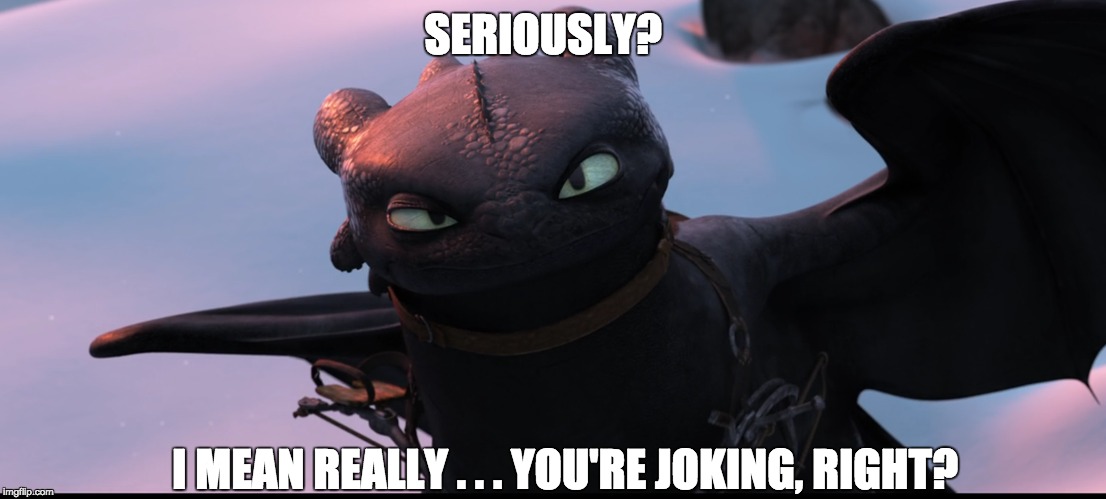 SERIOUSLY? I MEAN REALLY . . . YOU'RE JOKING, RIGHT? | image tagged in toothless,how to train your dragon | made w/ Imgflip meme maker