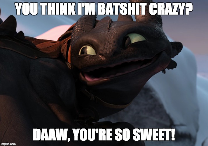 YOU THINK I'M BATSHIT CRAZY? DAAW, YOU'RE SO SWEET! | image tagged in toothless,how to train your dragon | made w/ Imgflip meme maker