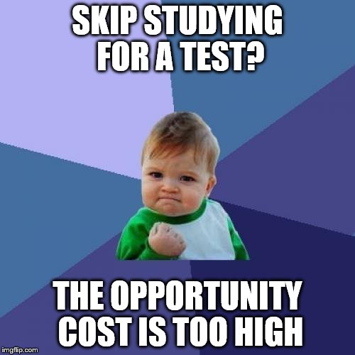 Success Kid Meme | SKIP STUDYING FOR A TEST? THE OPPORTUNITY COST IS TOO HIGH | image tagged in memes,success kid | made w/ Imgflip meme maker