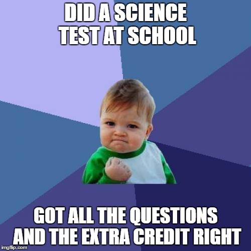 Success Kid | DID A SCIENCE TEST AT SCHOOL; GOT ALL THE QUESTIONS AND THE EXTRA CREDIT RIGHT | image tagged in memes,success kid | made w/ Imgflip meme maker