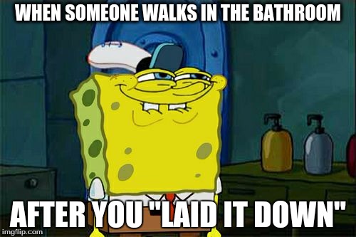 Don't You Squidward | WHEN SOMEONE WALKS IN THE BATHROOM; AFTER YOU "LAID IT DOWN" | image tagged in memes,dont you squidward | made w/ Imgflip meme maker