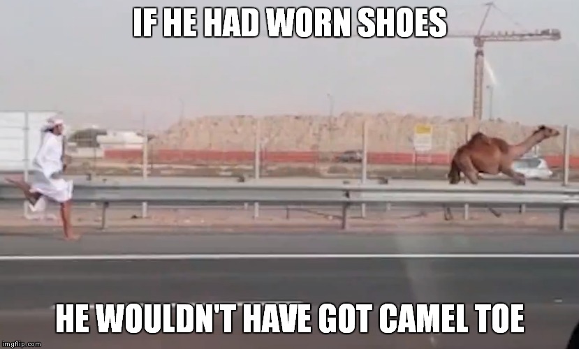 IF HE HAD WORN SHOES HE WOULDN'T HAVE GOT CAMEL TOE | made w/ Imgflip meme maker