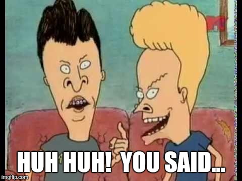 When you need to put someone's mind in the gutter |  HUH HUH!  YOU SAID... | image tagged in beavis  butt-head he said,beavis and butthead | made w/ Imgflip meme maker