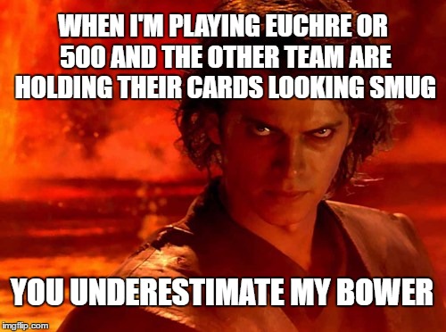 You Underestimate My Power WHEN I'M PLAYING EUCHRE OR 500 AND THE OTHE...