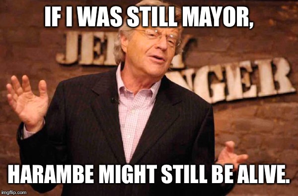 Jerry Springer | IF I WAS STILL MAYOR, HARAMBE MIGHT STILL BE ALIVE. | image tagged in jerry springer | made w/ Imgflip meme maker