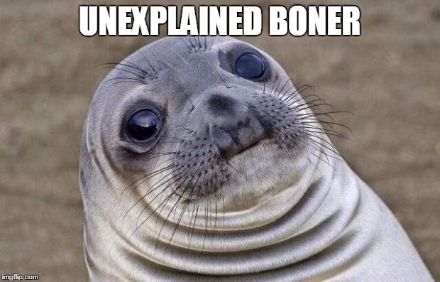 Just me? Ok... | UNEXPLAINED BONER | image tagged in memes,awkward moment sealion | made w/ Imgflip meme maker