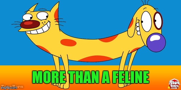 One fine day with a woof and a purr... | MORE THAN A FELINE | image tagged in catdog,more than a feeling | made w/ Imgflip meme maker