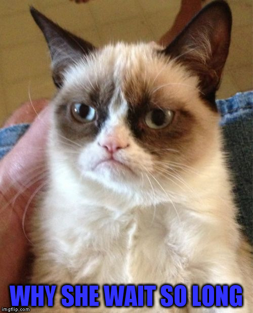 Grumpy Cat Meme | WHY SHE WAIT SO LONG | image tagged in memes,grumpy cat | made w/ Imgflip meme maker