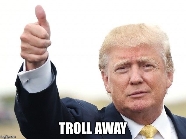 TROLL AWAY | image tagged in trump thumbs up | made w/ Imgflip meme maker