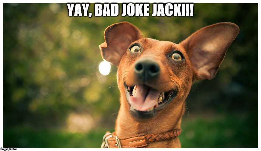 crazy mutt | YAY, BAD JOKE JACK!!! | image tagged in crazy mutt | made w/ Imgflip meme maker