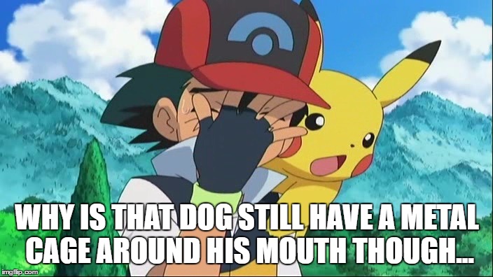 Ash Ketchum Facepalm | WHY IS THAT DOG STILL HAVE A METAL CAGE AROUND HIS MOUTH THOUGH... | image tagged in ash ketchum facepalm | made w/ Imgflip meme maker
