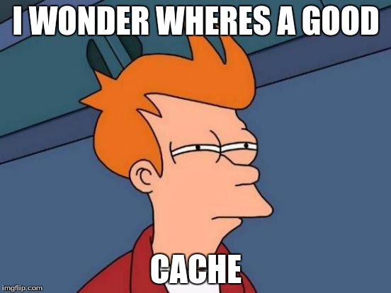 Futurama Fry | I WONDER WHERES A GOOD; CACHE | image tagged in memes,futurama fry | made w/ Imgflip meme maker