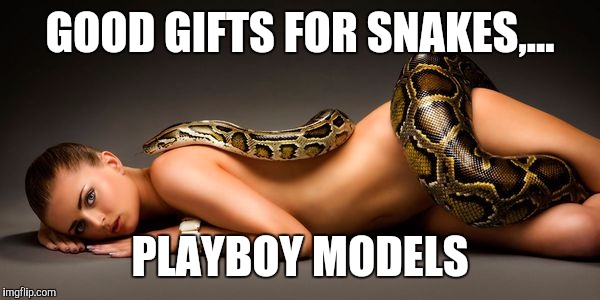 GOOD GIFTS FOR SNAKES,... PLAYBOY MODELS | made w/ Imgflip meme maker