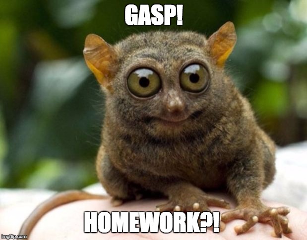 GASP! HOMEWORK?! | image tagged in shocked creature | made w/ Imgflip meme maker