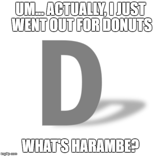You leave the alphabet for 5 minutes... | UM... ACTUALLY, I JUST WENT OUT FOR DONUTS; WHAT'S HARAMBE? | image tagged in harambe,dicksoutforharambe,confused d | made w/ Imgflip meme maker