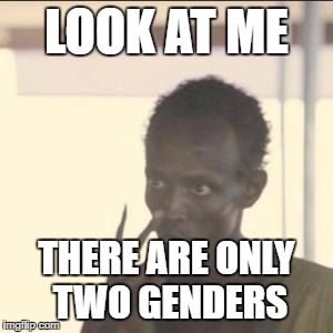 Look At Me Meme | LOOK AT ME; THERE ARE ONLY TWO GENDERS | image tagged in memes,look at me | made w/ Imgflip meme maker