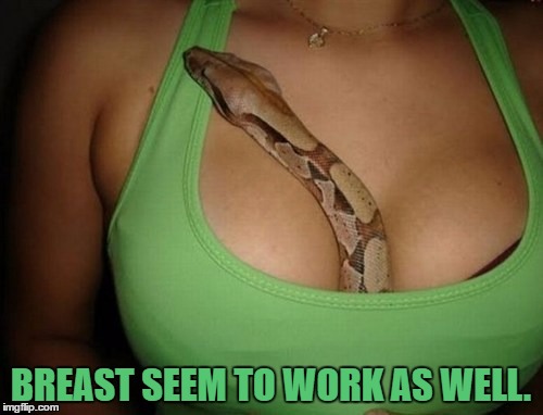 BREAST SEEM TO WORK AS WELL. | made w/ Imgflip meme maker